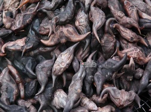 菱角的營養價值，菱角的功效，菱角的作用