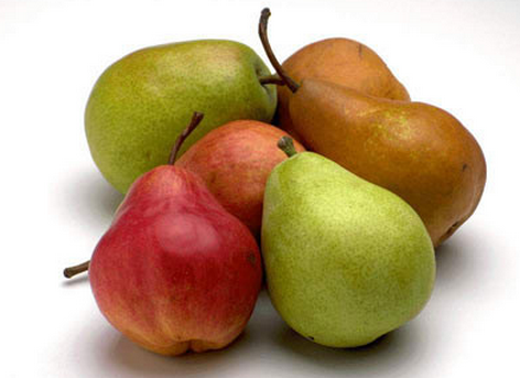 香蕉梨的種植技術(shù)-香蕉梨的功效與作用