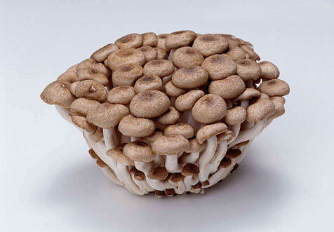 蟹味菇的營養(yǎng)及功效-蟹味菇的適用人群