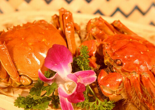 大閘蟹的營養(yǎng)價值與功效-大閘蟹怎么吃？