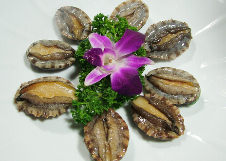 鮑魚的營養(yǎng)價(jià)值-鮑魚適合什么人吃