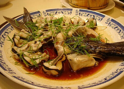 鴨嘴魚(yú)是什么?鴨嘴魚(yú)的營(yíng)養(yǎng)價(jià)值