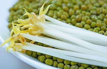 綠豆芽怎么做好吃?綠豆芽的營養價值、功效與作用