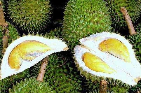 榴蓮的營養價值、功效與作用、食用禁忌