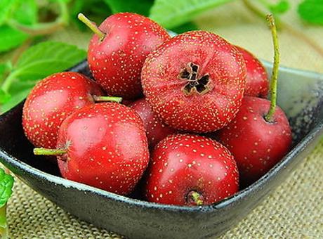 吃山楂有什么好處?山楂的功效與作用及食用禁忌