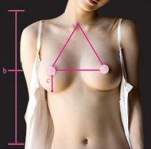 胸圍怎么算?你的胸圍是否標(biāo)準(zhǔn)?女人完美乳房標(biāo)準(zhǔn)詳細(xì)圖解