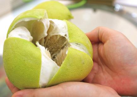 如何一眼挑出甜柚子？挑柚子的方法