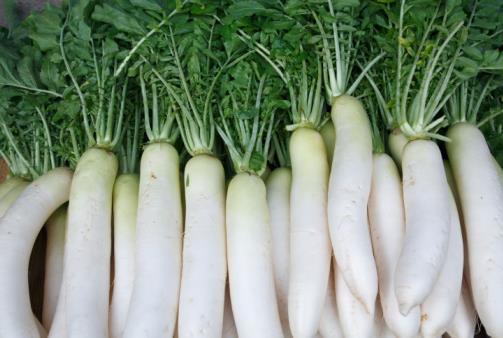 怎么挑選白蘿卜？白蘿卜的挑選方法