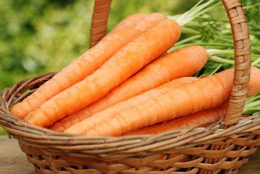 如何儲存胡蘿卜?胡蘿卜怎樣儲存