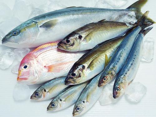 如何區別冰鮮魚與速凍魚？鑒別海鮮干品質量好壞優劣的方法