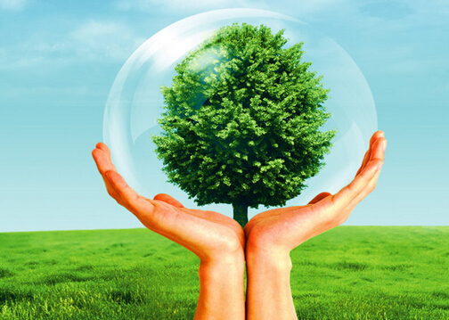 什么是保險公估人？保險公估的發展