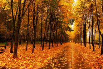 “多事之秋”，起居有學問，降溫有竅門