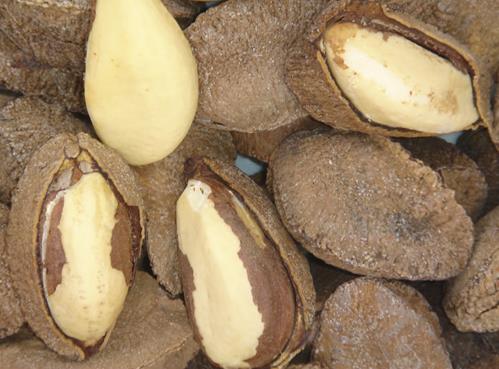 鮑魚果怎么吃?鮑魚果酥餅的做法