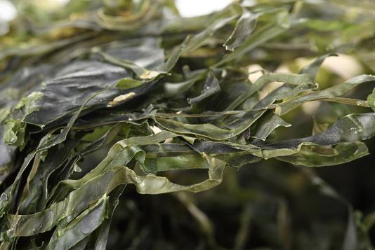 干海帶泡發(fā),干海帶要泡多久,怎樣泡發(fā)干海帶