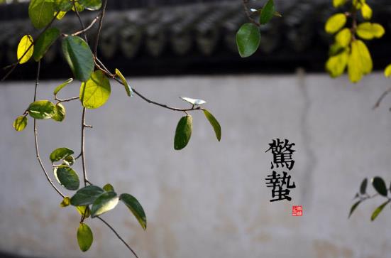 驚蟄是什么時(shí)候？二十四節(jié)氣之驚蟄的由來(lái)與含義