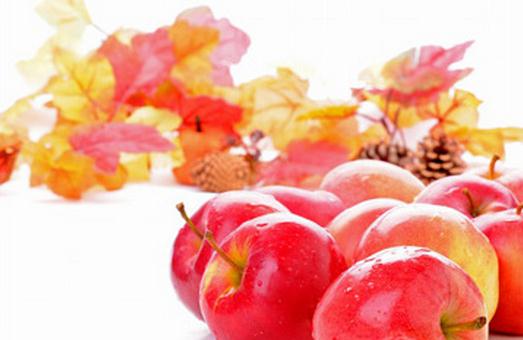 如何讓讓大腦“冷艷高貴”起來？