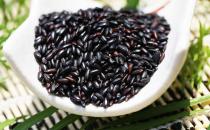 吃什么補腎？五種補腎壯陽的食物助你補腎養腎