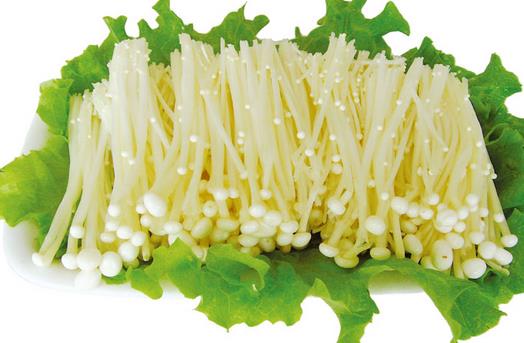 正確認(rèn)識毛囊炎 毛囊炎傳染嗎?