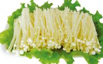 正確認識毛囊炎 毛囊炎傳染嗎？