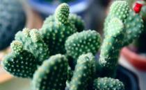 腱鞘炎是什么？ 引起腱鞘炎的原因有哪些？