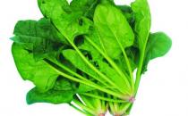 孕婦可以喝飲料嗎？補充營養要吃什么？