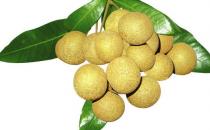 坐月子有哪些常見誤區(qū)？