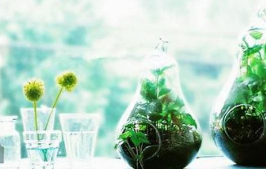 自制果蔬面膜：享受細膩膚質的感覺