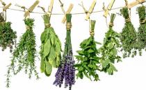 藥妝是什么？如何挑選藥妝？