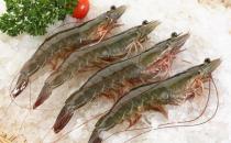 溫州市場現(xiàn)注膠蝦 如何鑒別注膠蝦