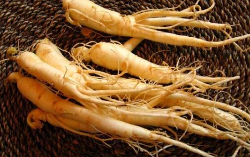 人參有什么功效？人參飲食禁忌