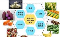 身體需要哪些營養素 缺乏營養素的隱患