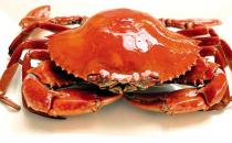 盤點食用螃蟹的幾大誤區