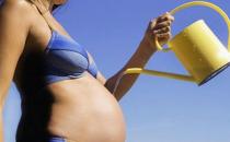 孕婦不宜濫服溫熱補品-孕婦不宜吃什么？