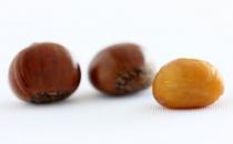 女人吃什么食物補腎養腎