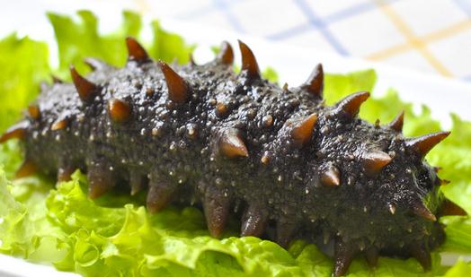 海參有什么功效？吃海參的注意事項