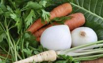 吃哪些食物讓女性補肝明目