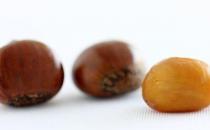 女人吃什么食物補腎養腎