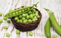 女性經期需要補充什么營養