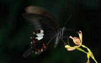 哪種職業的女人最不好嫁？