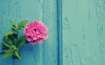 女人應該怎么跨入戀愛之門？