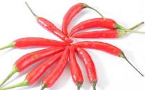 冬天吃辣椒暖胃驅寒 吃辣椒不上火的竅門