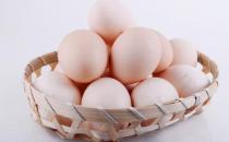 洋雞蛋營養(yǎng)也高 雞蛋并非“越土越好”？