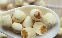 冬季吃什么好 有哪些清潤食材