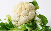 寶寶冬季如何進補？寶寶冬季進補注意事項