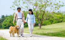 老人經常散步運動 好處多多