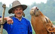 8個步驟預防老年癡呆