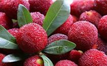 哪些壞習慣會導致白領不孕不育