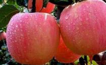 吃蘋果有哪些好處 預(yù)防老年人中風