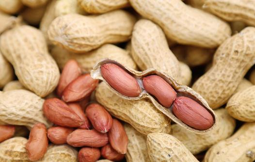 花生能提高智力?盤(pán)點(diǎn)花生的功效