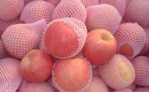 蘋果有什么營養？蘋果皮有營養嗎？